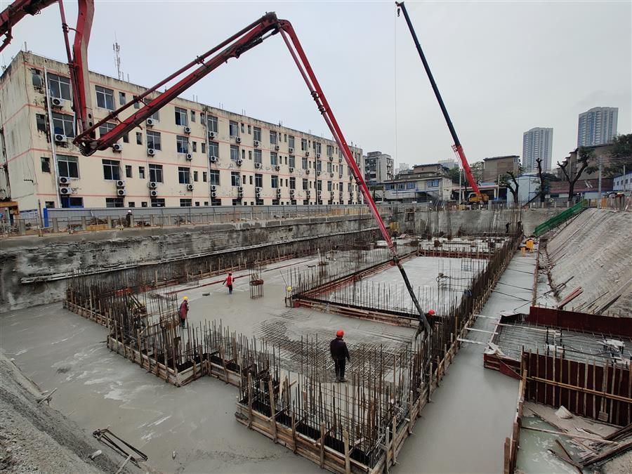 2024新澳门全年免费原料网