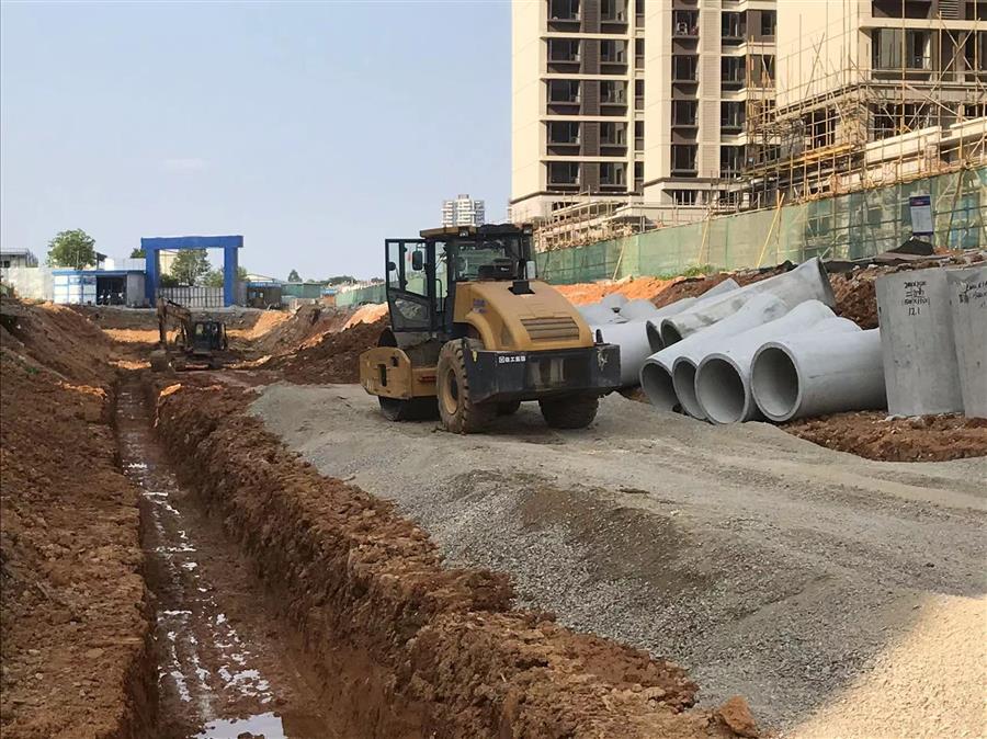 2024新澳门全年免费原料网