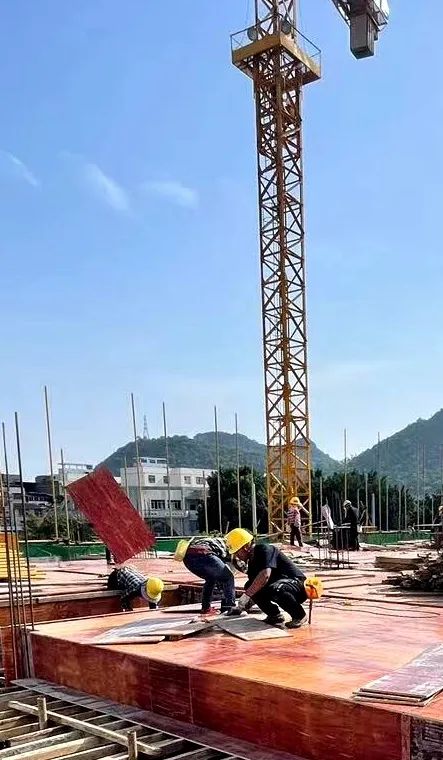 2024新澳门全年免费原料网