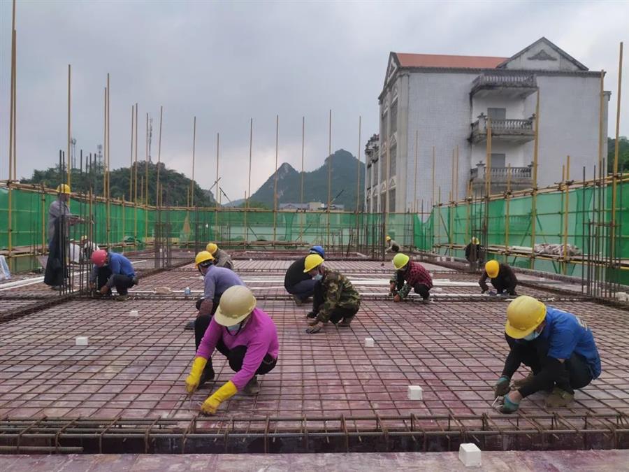 2024新澳门全年免费原料网