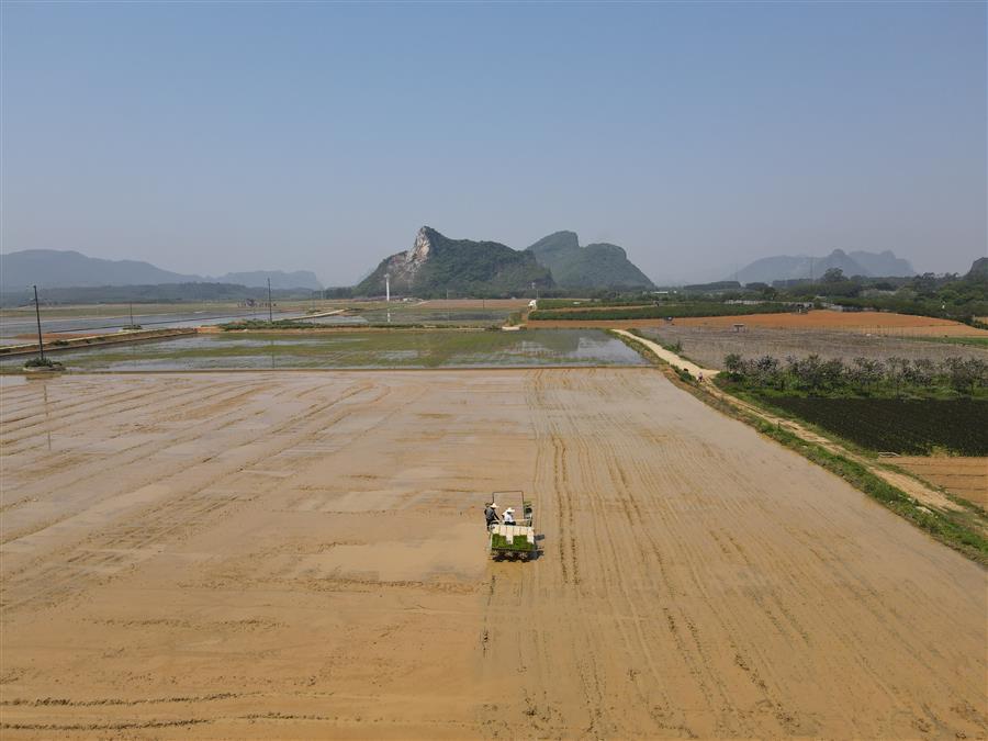 2024新澳门全年免费原料网