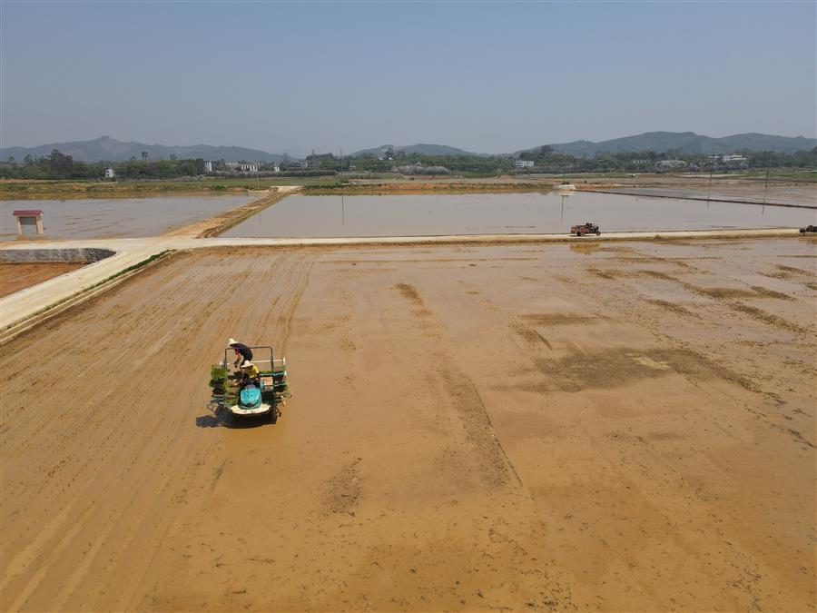2024新澳门全年免费原料网