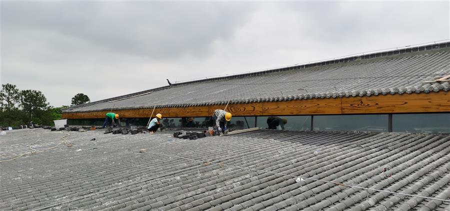 2024新澳门全年免费原料网