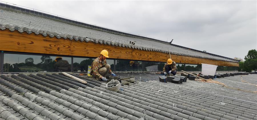 2024新澳门全年免费原料网