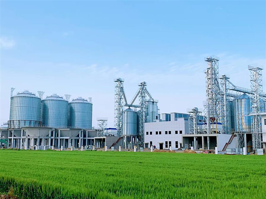 2024新澳门全年免费原料网