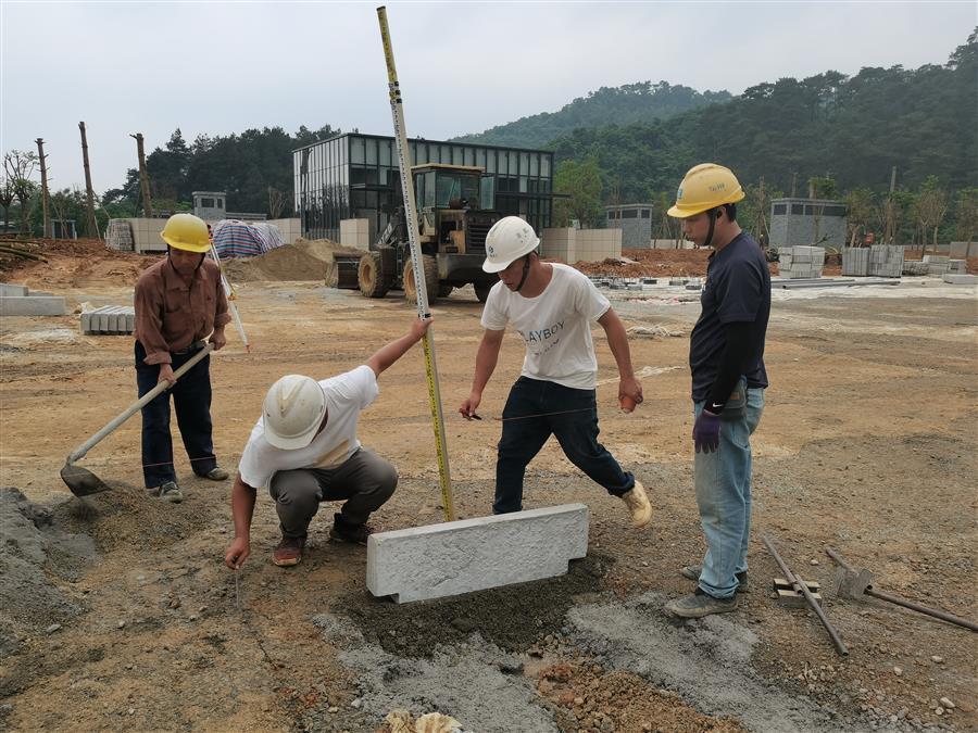 2024新澳门全年免费原料网