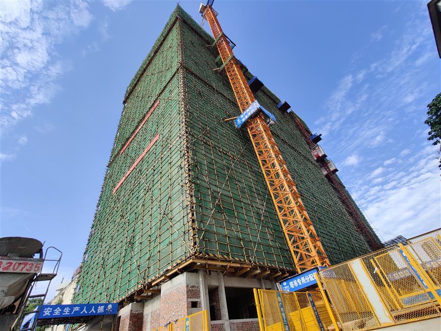 2024新澳门全年免费原料网