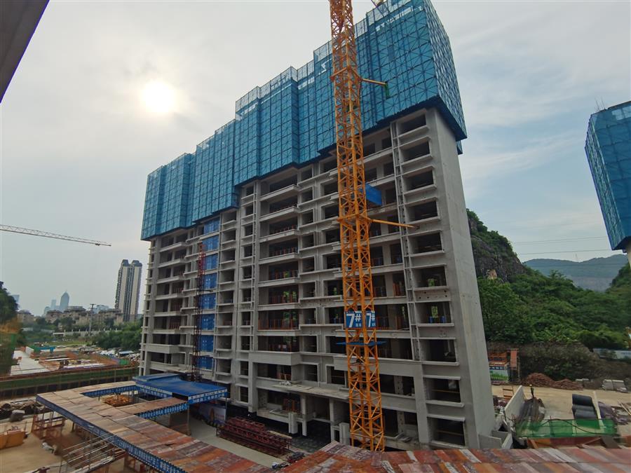 2024新澳门全年免费原料网