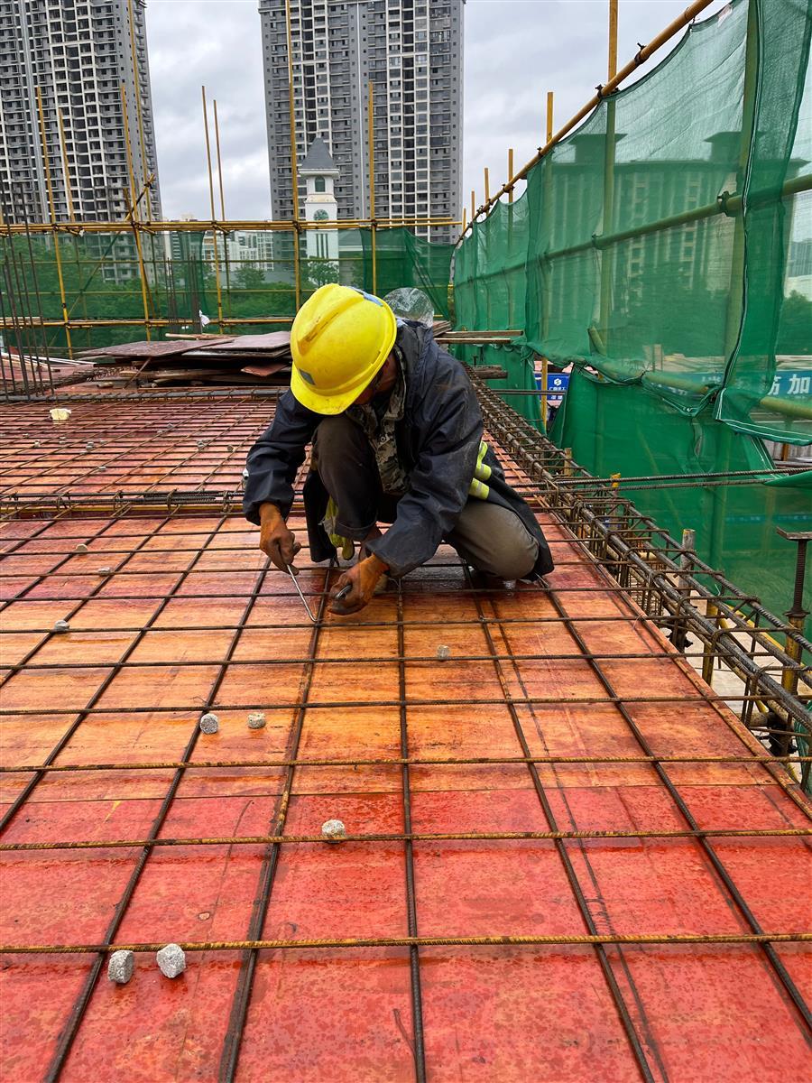 2024新澳门全年免费原料网