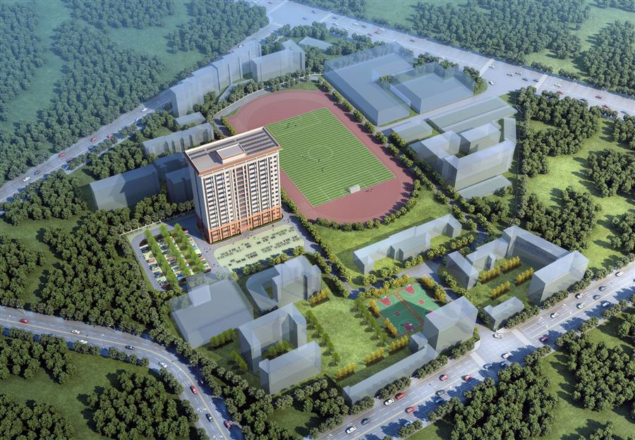 2024新澳门全年免费原料网