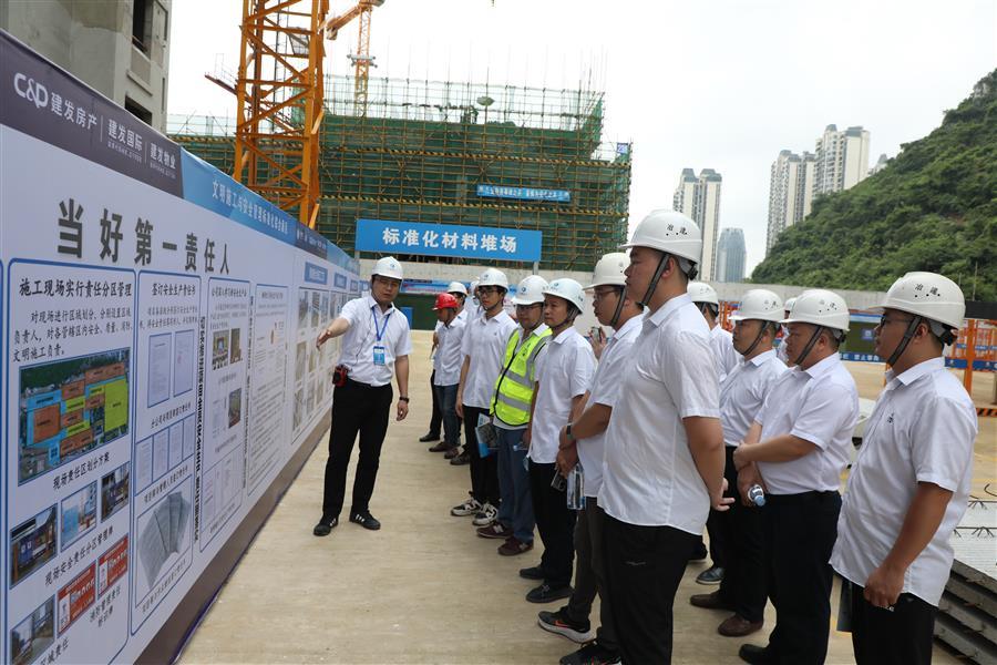 2024新澳门全年免费原料网