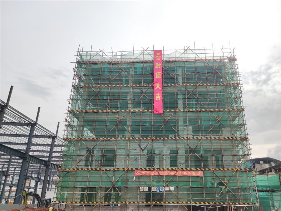 2024新澳门全年免费原料网