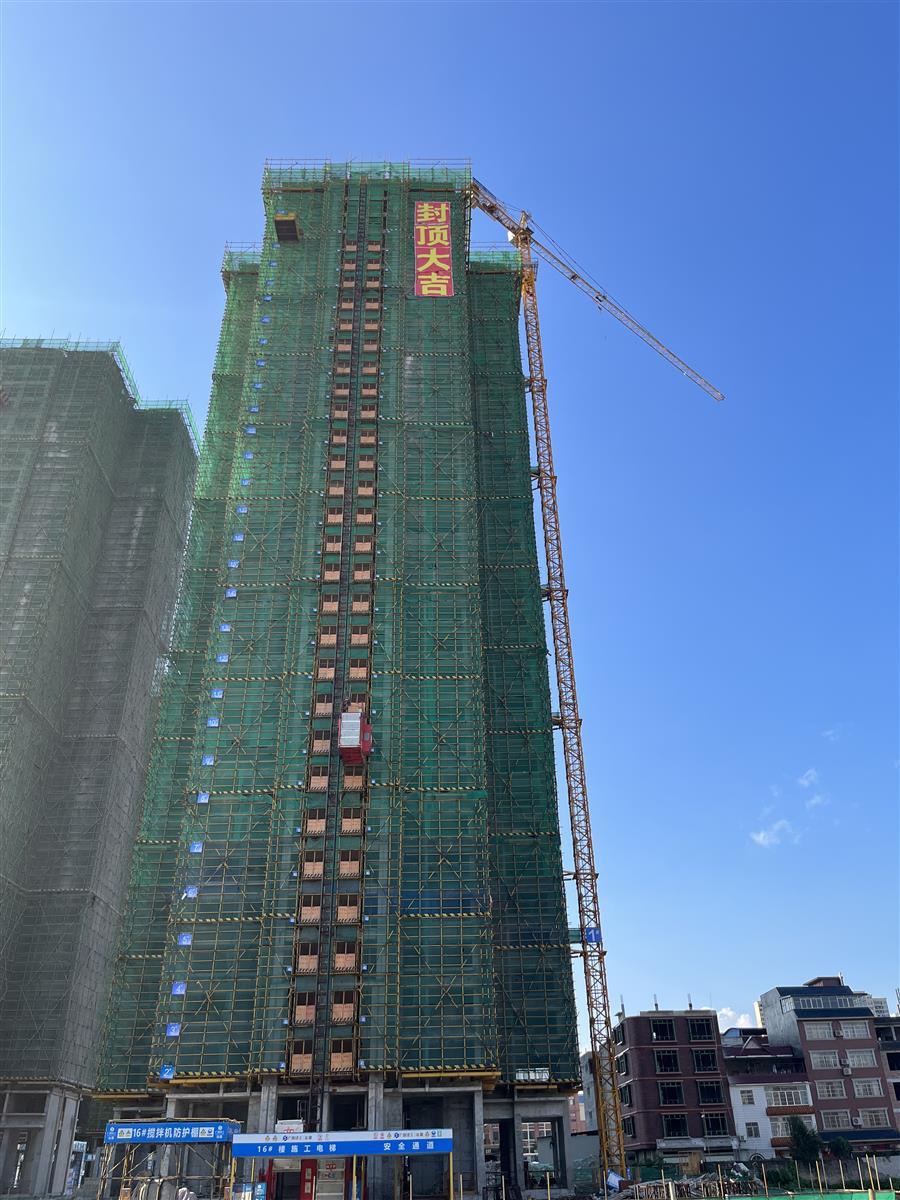 2024新澳门全年免费原料网