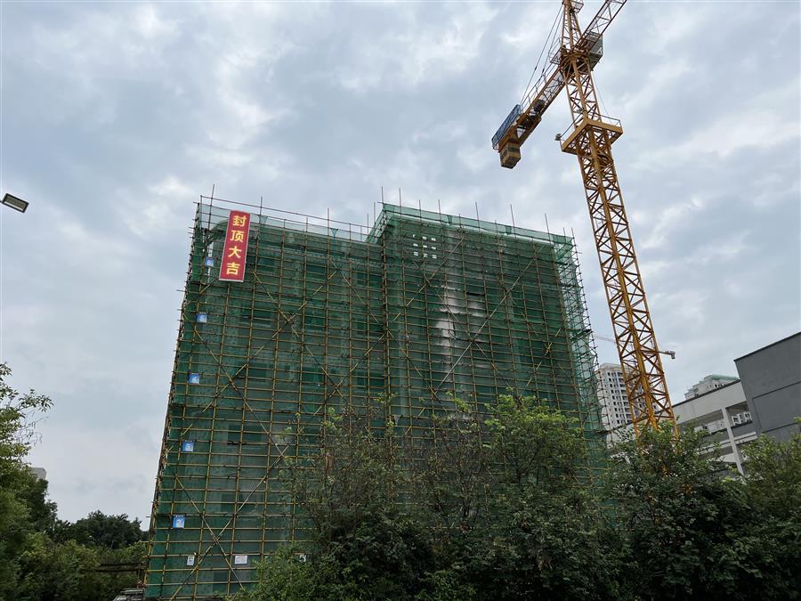 2024新澳门全年免费原料网