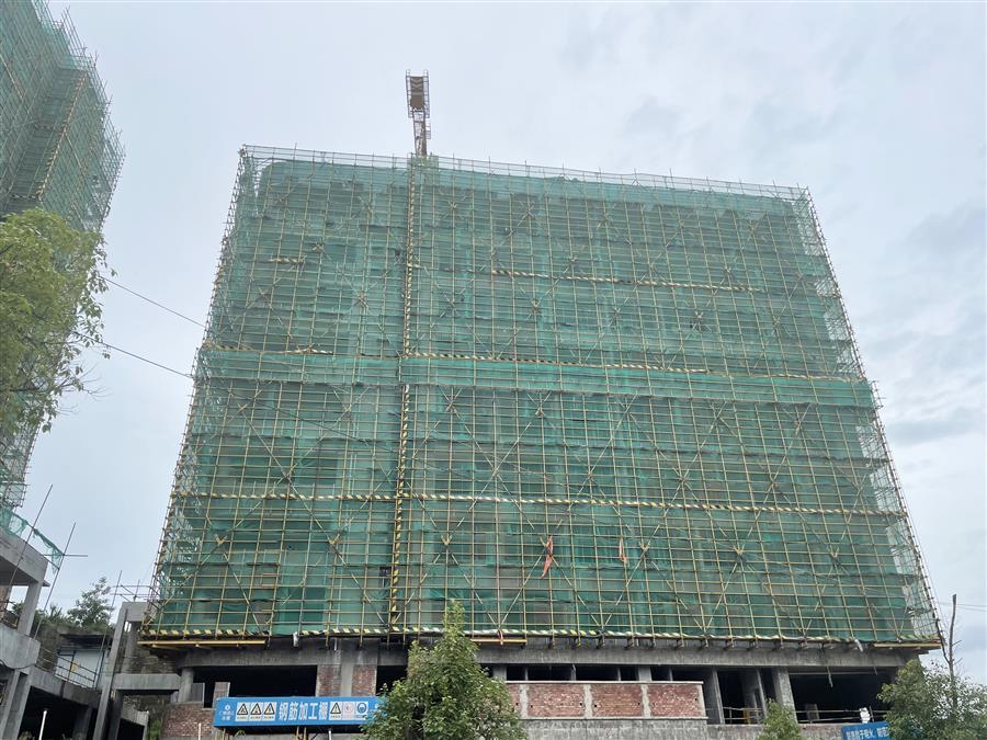 2024新澳门全年免费原料网