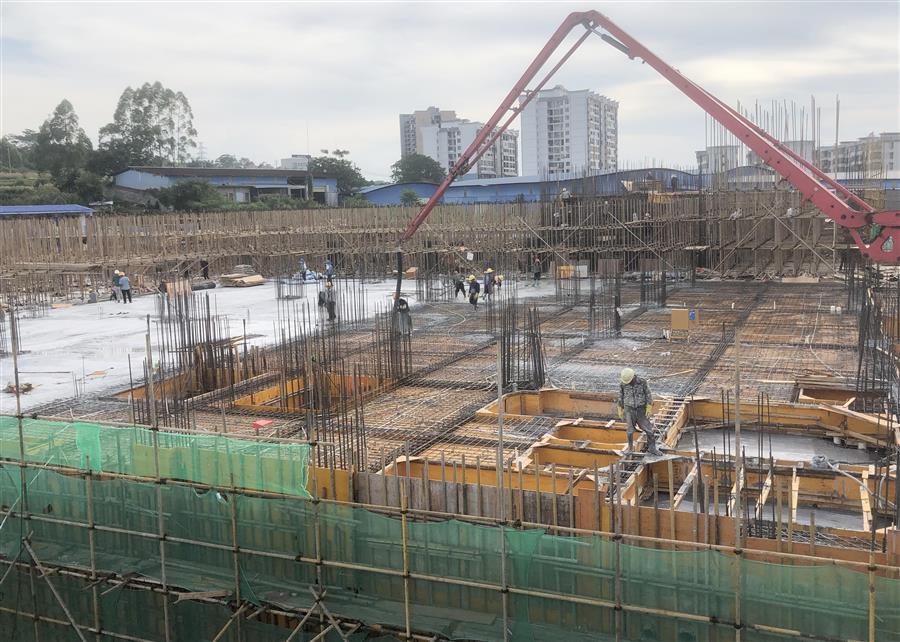 2024新澳门全年免费原料网