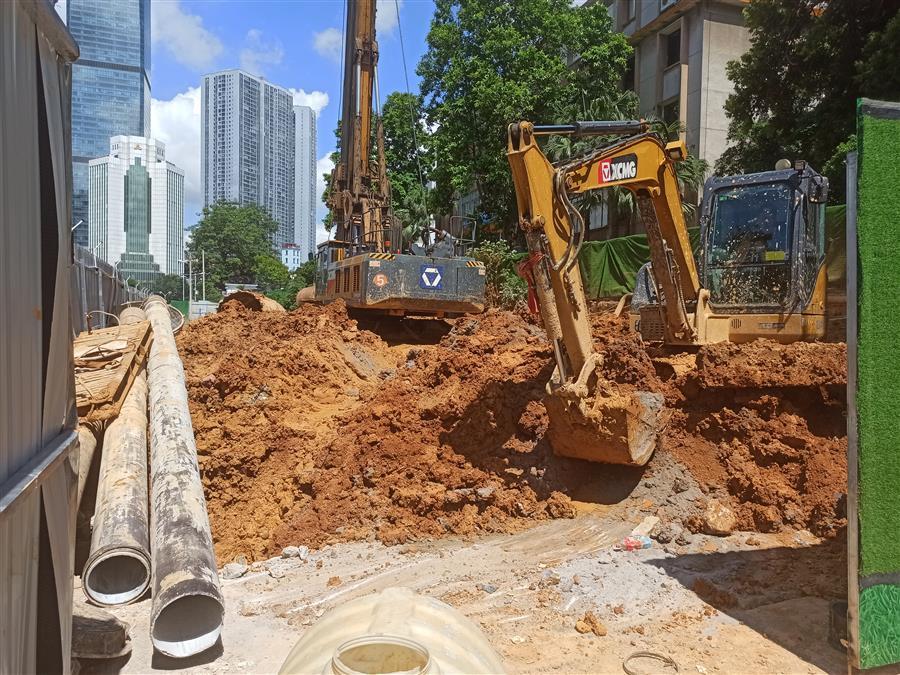 2024新澳门全年免费原料网