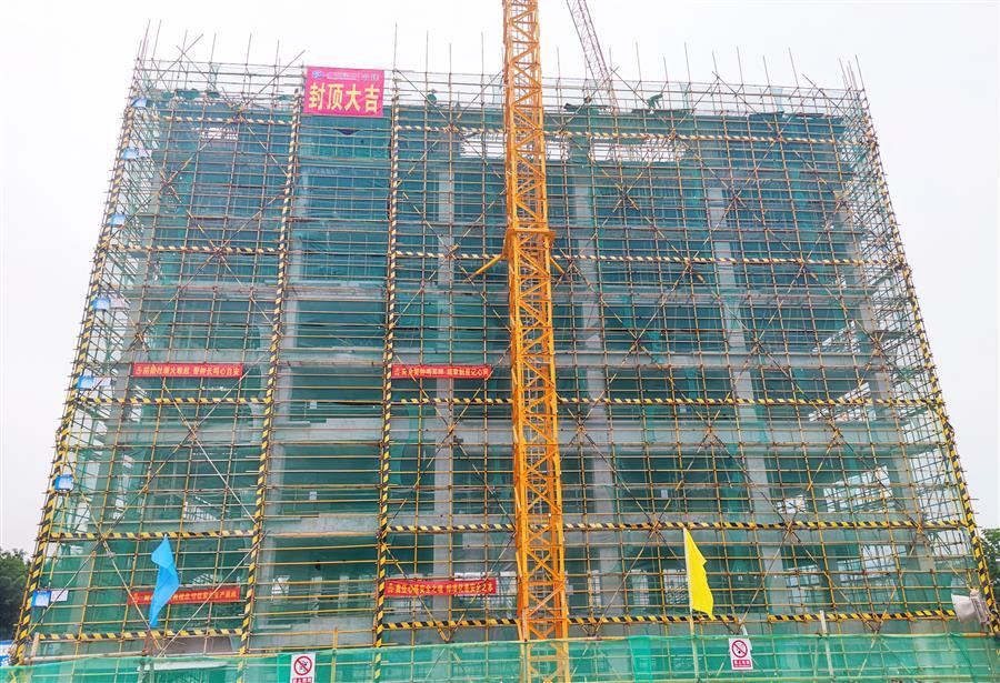 2024新澳门全年免费原料网