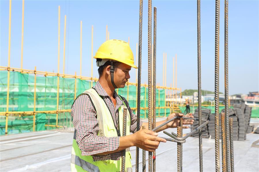 2024新澳门全年免费原料网