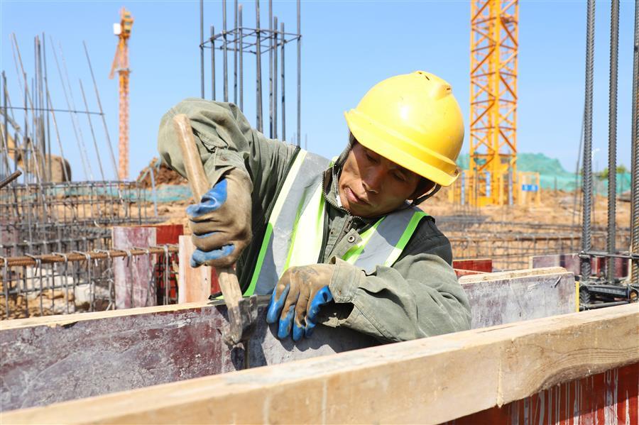 2024新澳门全年免费原料网