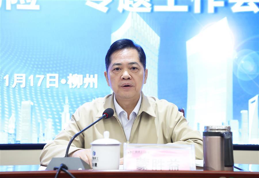2024新澳门全年免费原料网