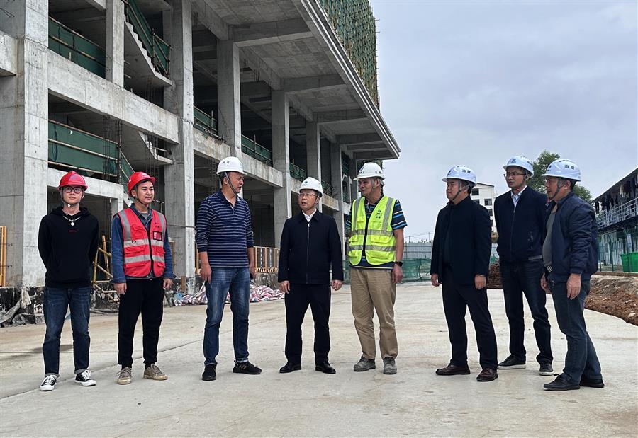 2024新澳门全年免费原料网