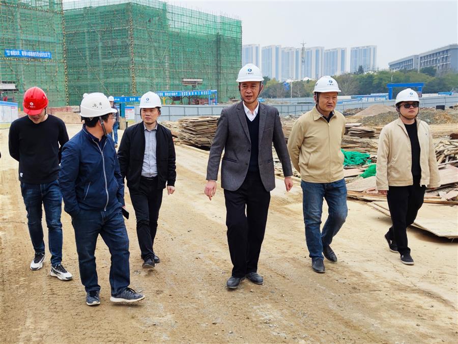 2024新澳门全年免费原料网