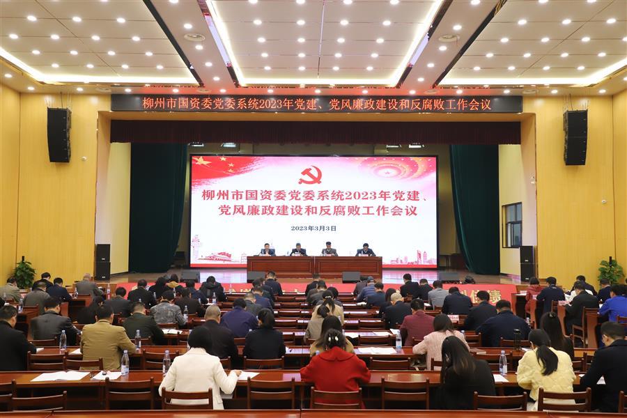 2024新澳门全年免费原料网