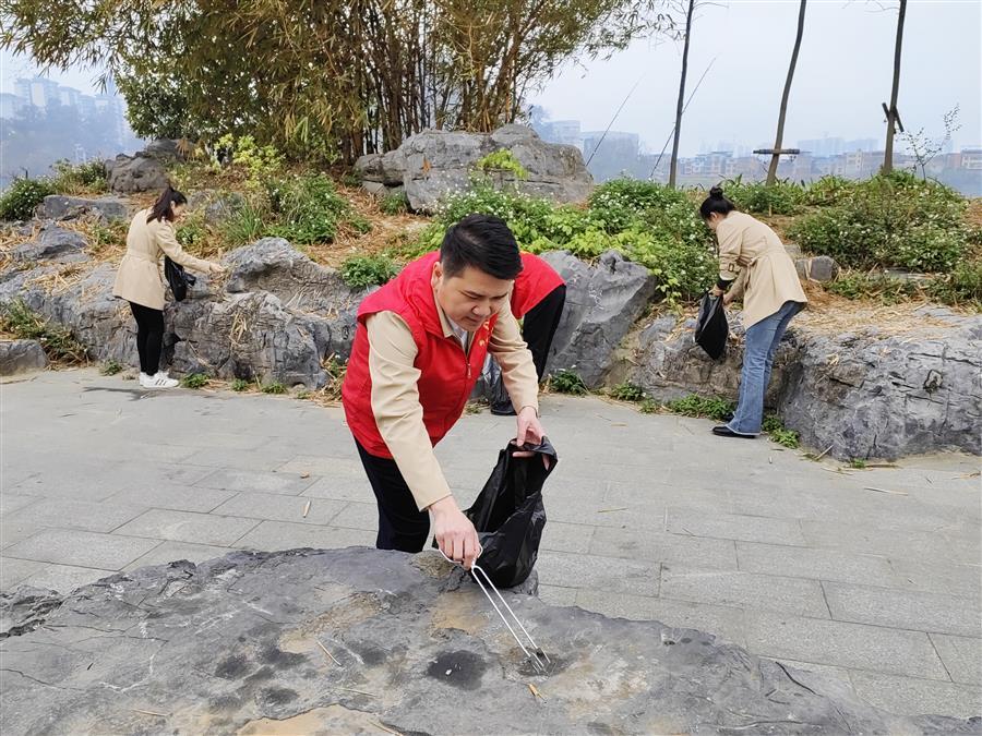 2024新澳门全年免费原料网