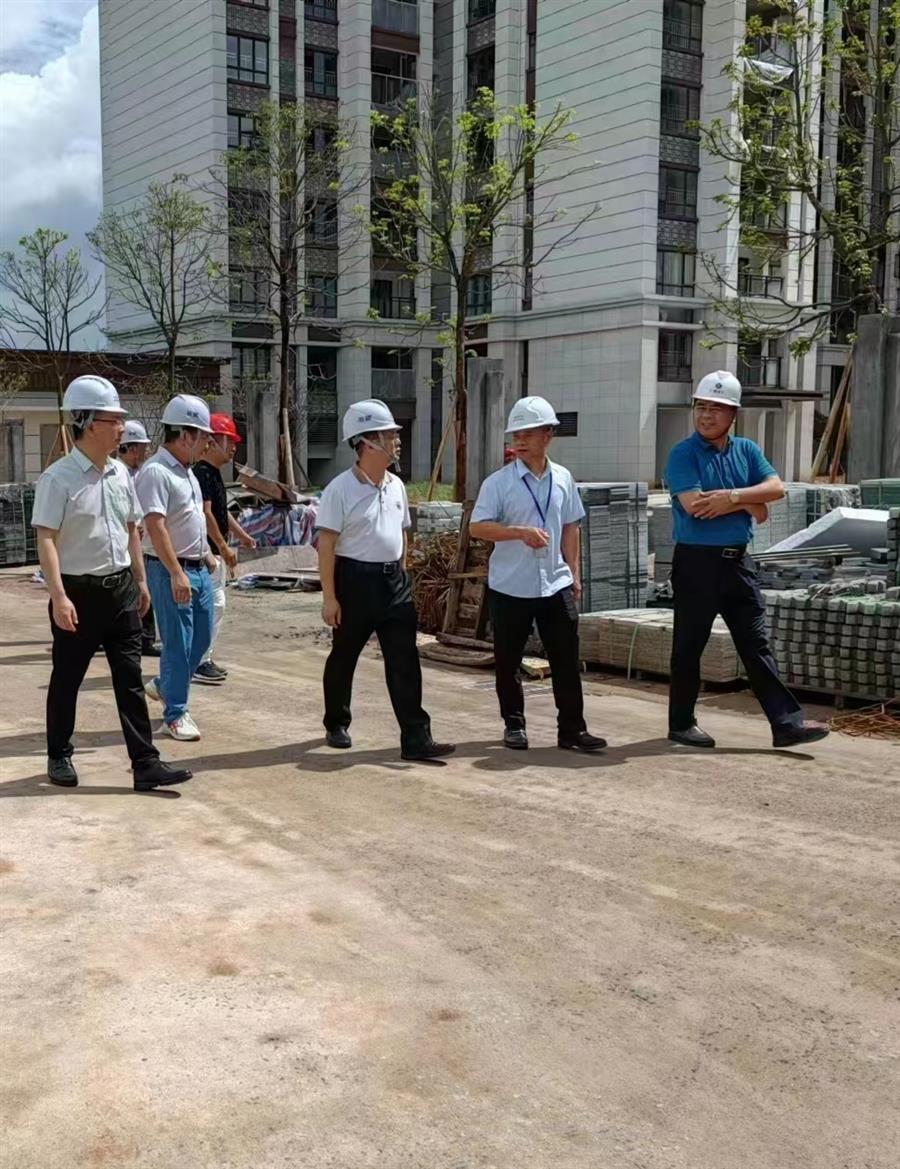 2024新澳门全年免费原料网