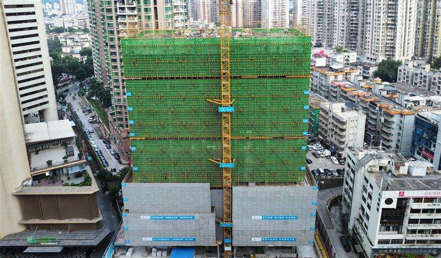 2024新澳门全年免费原料网