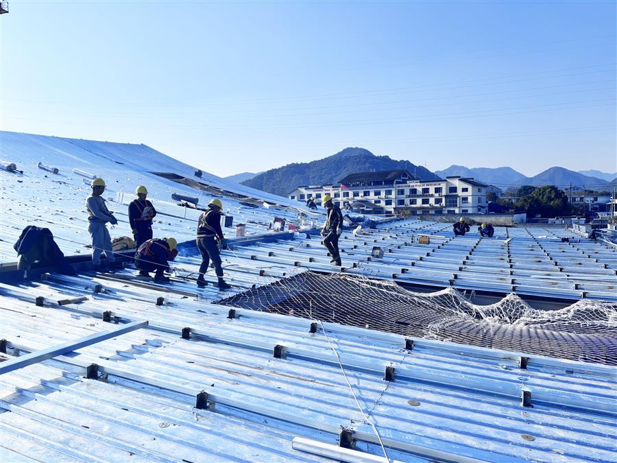 2024新澳门全年免费原料网