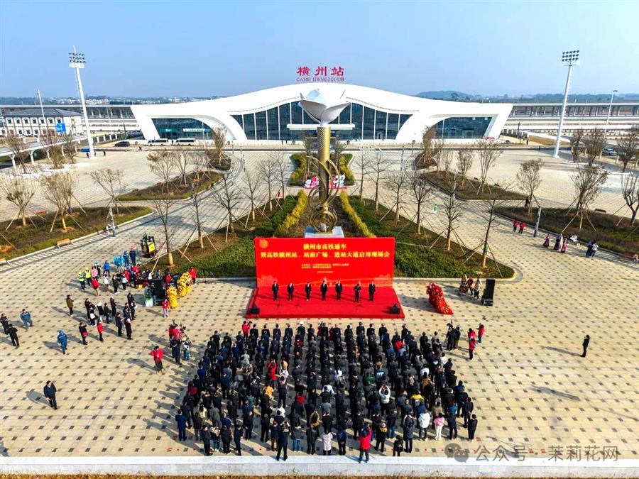 2024新澳门全年免费原料网