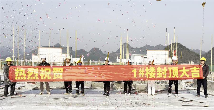 2024新澳门全年免费原料网