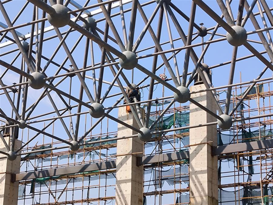 2024新澳门全年免费原料网
