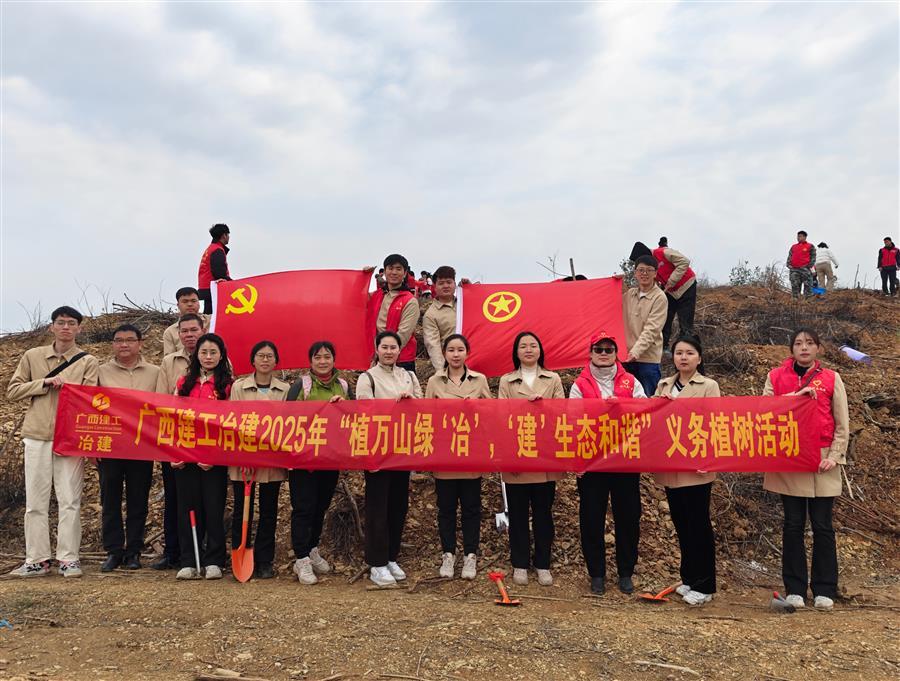 2024新澳门全年免费原料网