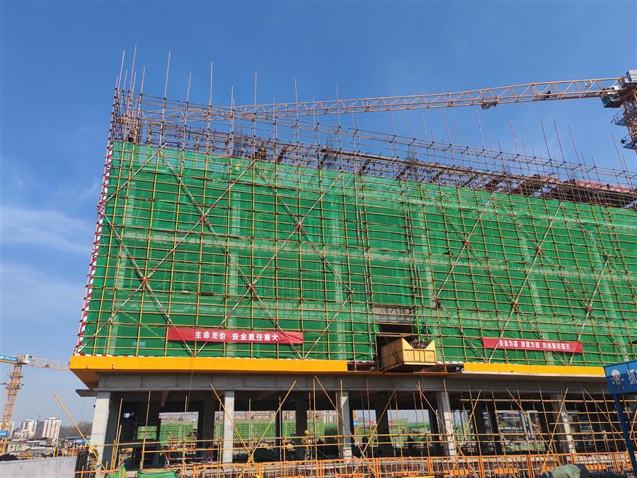 2024新澳门全年免费原料网