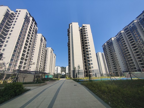 2024新澳门全年免费原料网