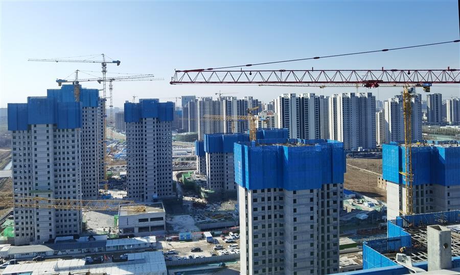 2024新澳门全年免费原料网