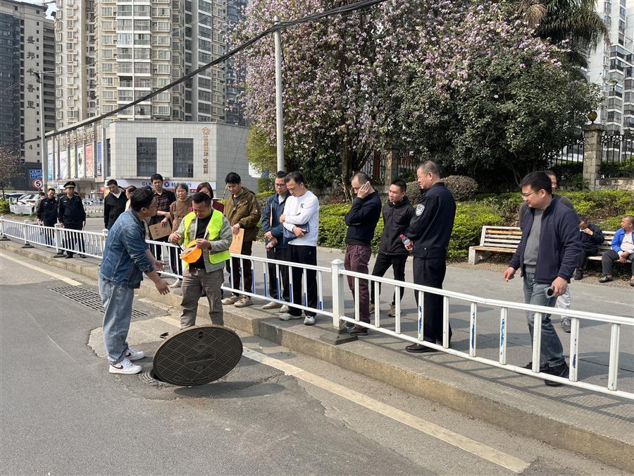 2024新澳门全年免费原料网