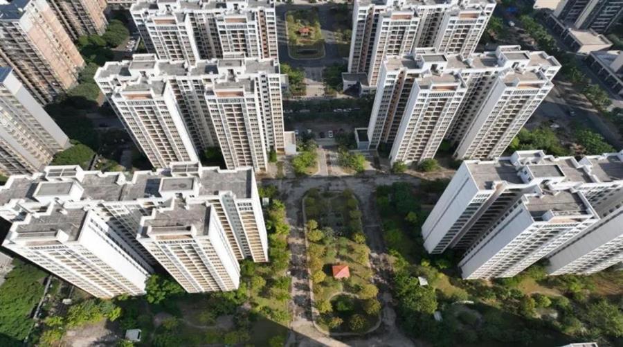 2024新澳门全年免费原料网