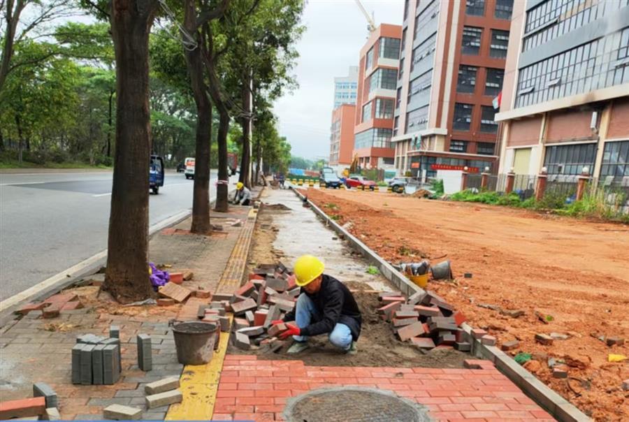 2024新澳门全年免费原料网