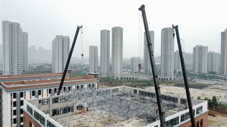 2024新澳门全年免费原料网