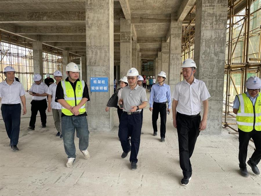 2024新澳门全年免费原料网
