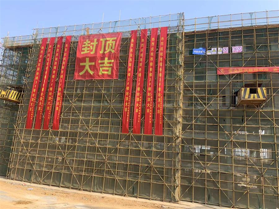 2024新澳门全年免费原料网