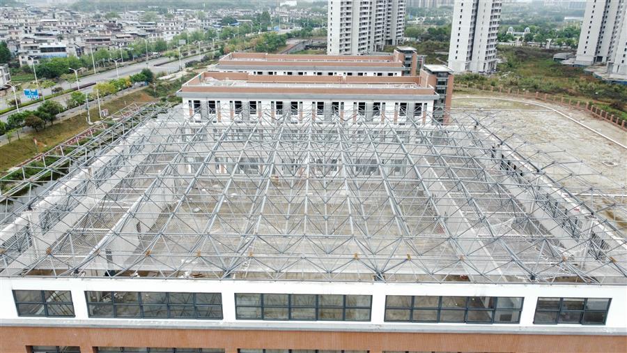 2024新澳门全年免费原料网