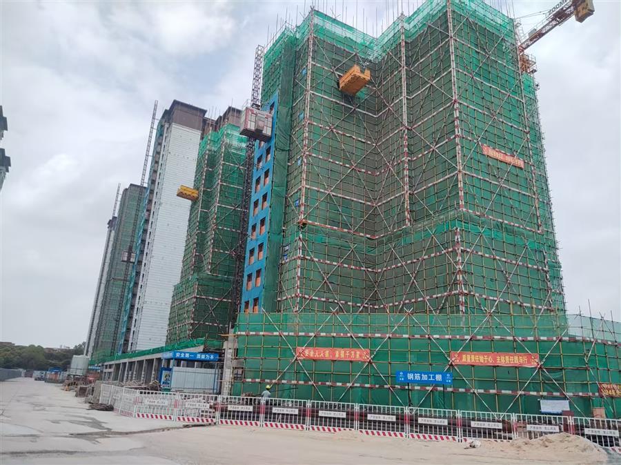 2024新澳门全年免费原料网