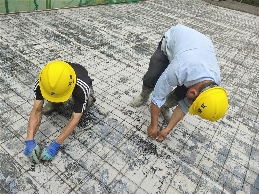2024新澳门全年免费原料网