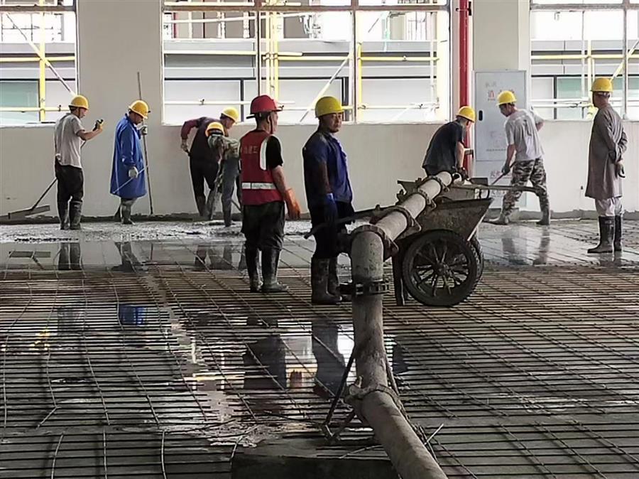 2024新澳门全年免费原料网