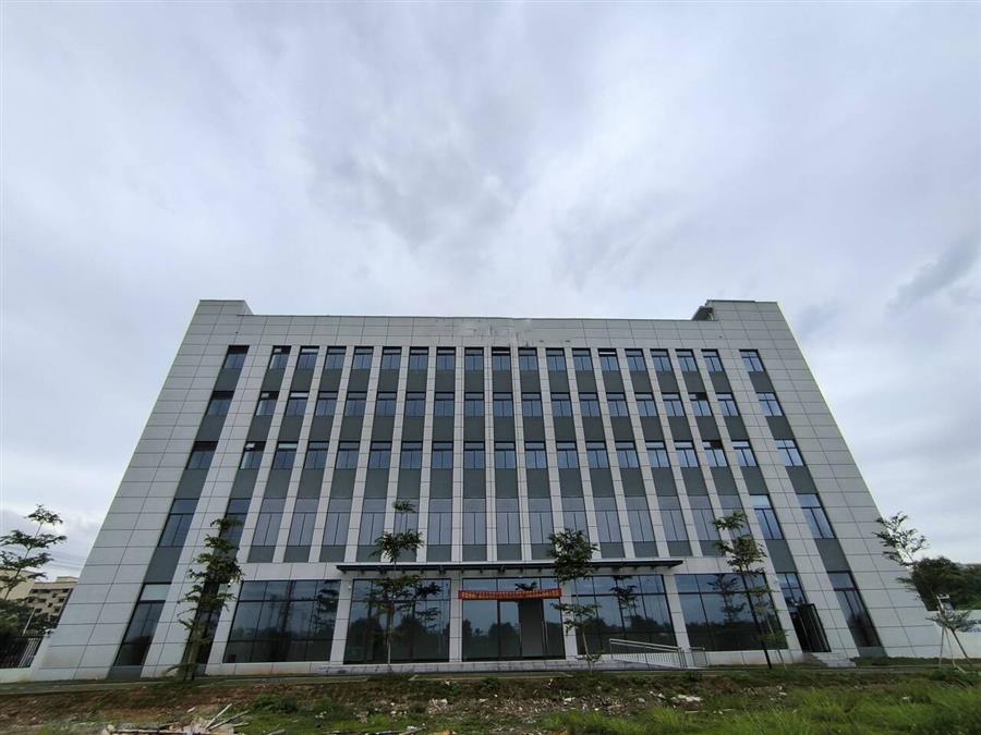 2024新澳门全年免费原料网